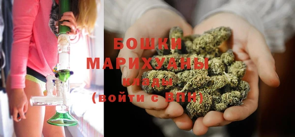 индика Балабаново
