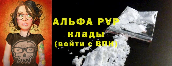 шишки Балахна