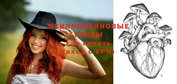 шишки Балахна