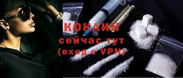 шишки Балахна