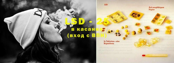 индика Балабаново