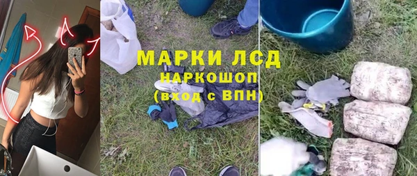 индика Балабаново