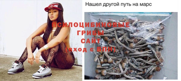шишки Балахна