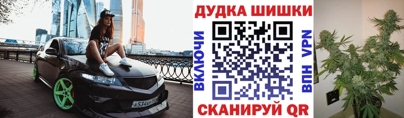 Конопля OG Kush Губкинский
